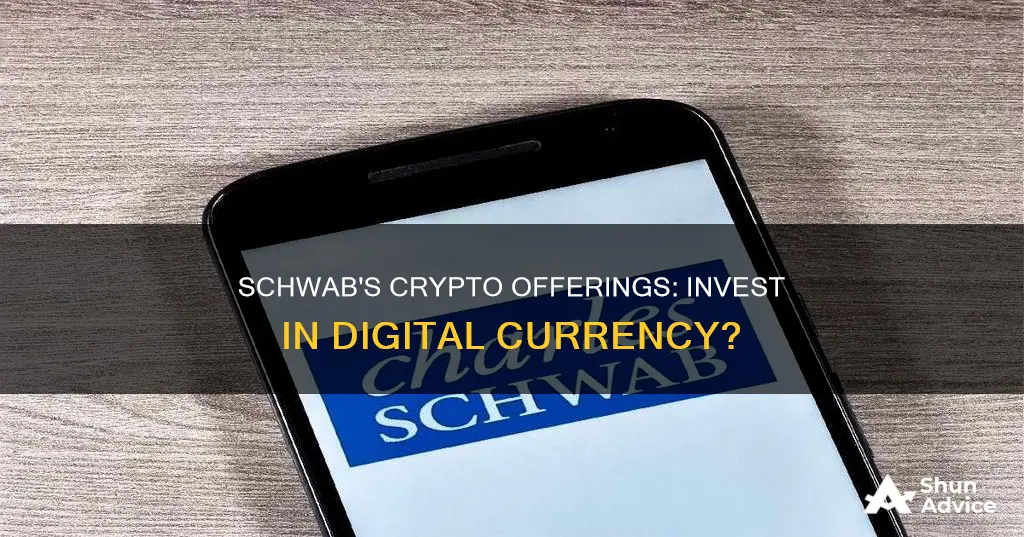 can you invest in cryptocurrency on schwab