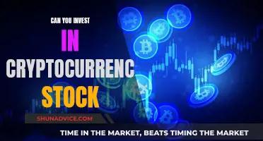 Cryptocurrency Stock: Worth Investing or Risky Business?