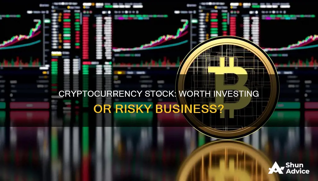 can you invest in cryptocurrency stock