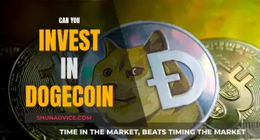 Dogecoin Investment: Is It a Good Idea?