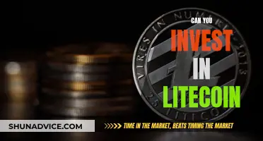 Litecoin Investment: Is It a Good Idea?