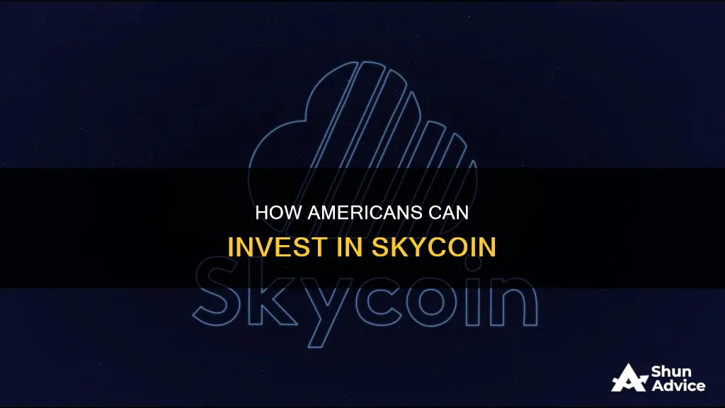 can you invest in skycoin in the usa