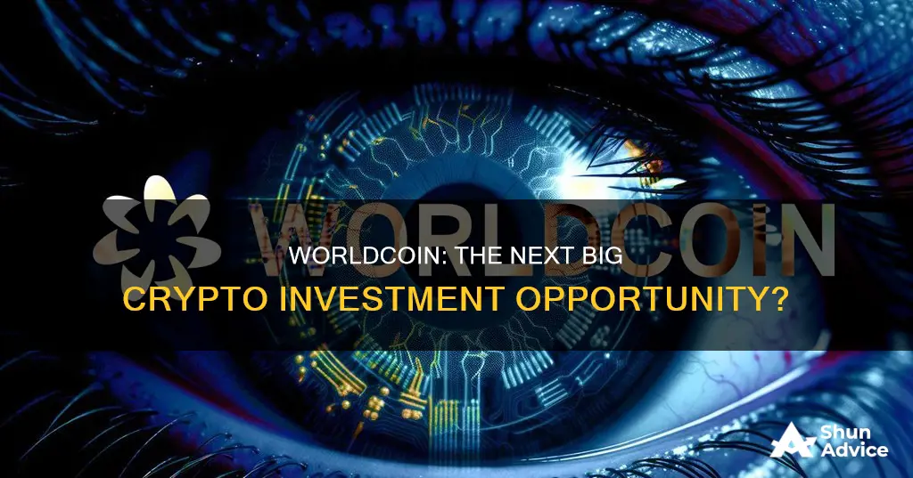 can you invest in worldcoin