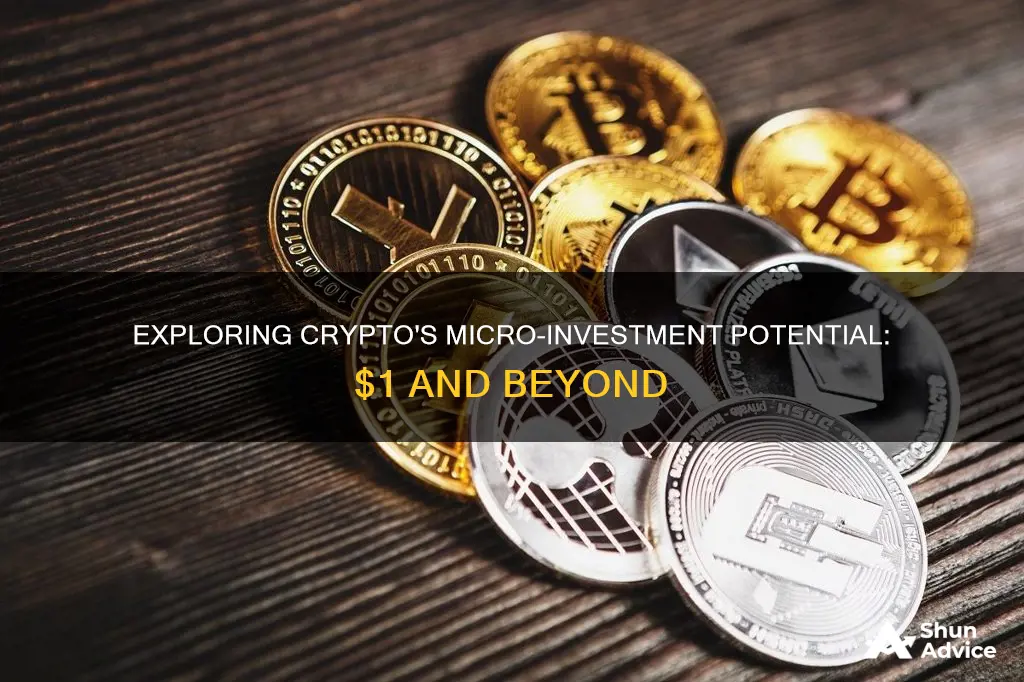 can you invest one dollar in crypto