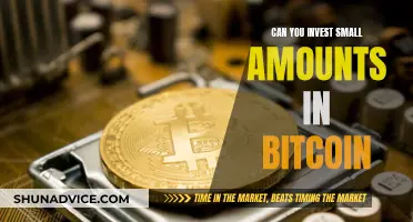 Small Bitcoin Investments: Are They Worthwhile?