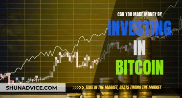 Bitcoin Investment: Profitable or Not?