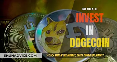 Dogecoin Investment: Is It Too Late to Invest?