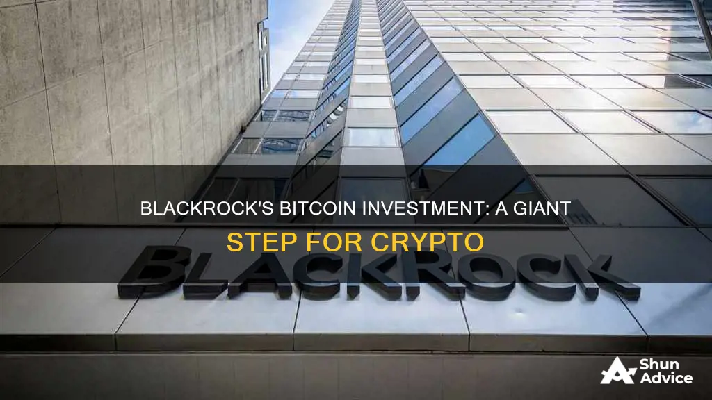 did blackrock invest in bitcoin