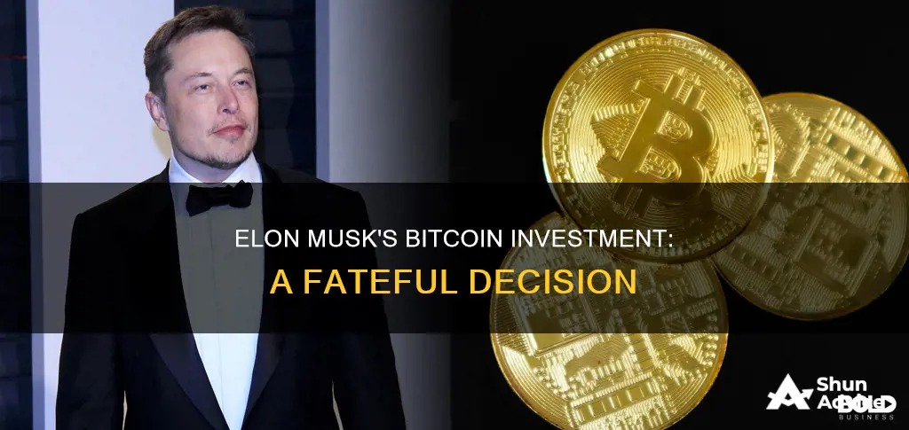 did elon musk invest in bitcoin