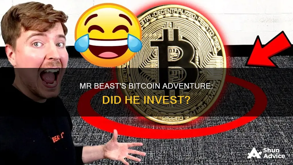 did mr beast invest in bitcoin