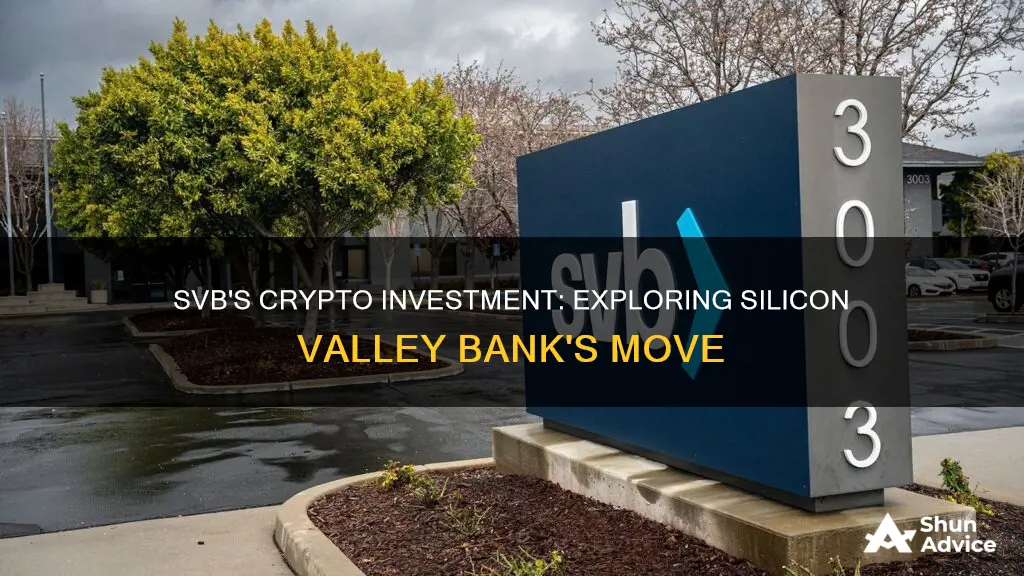 did svb invest in crypto