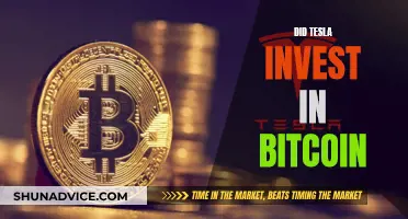 Tesla's Bitcoin Investment: A Bold Move?