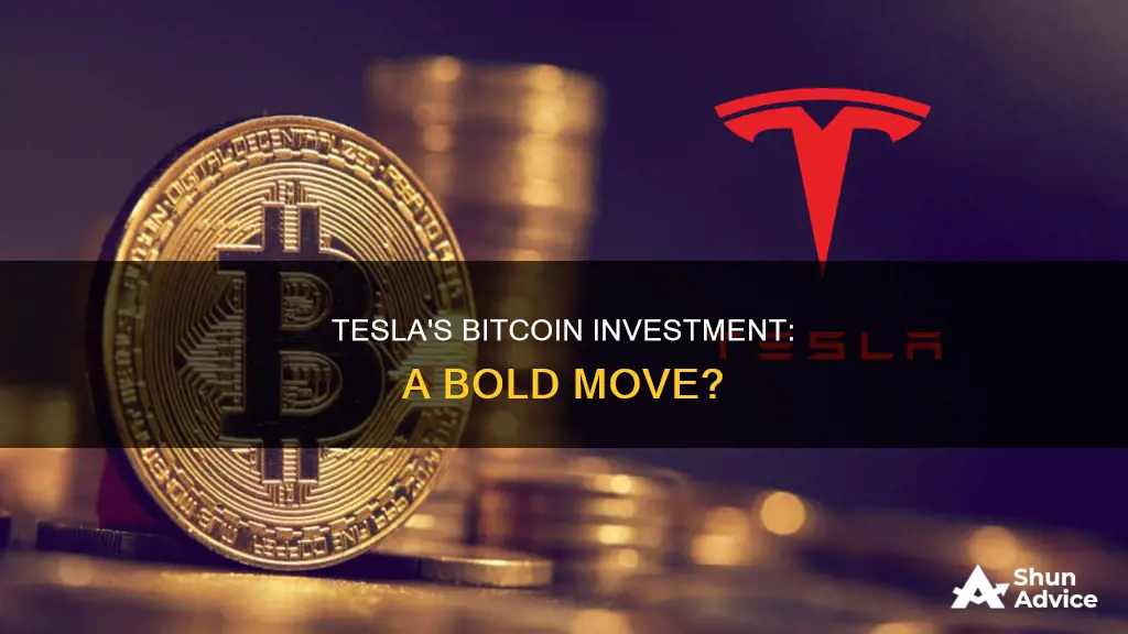 did tesla invest in bitcoin