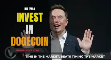 Tesla's Interest in Dogecoin: A Wise Investment?