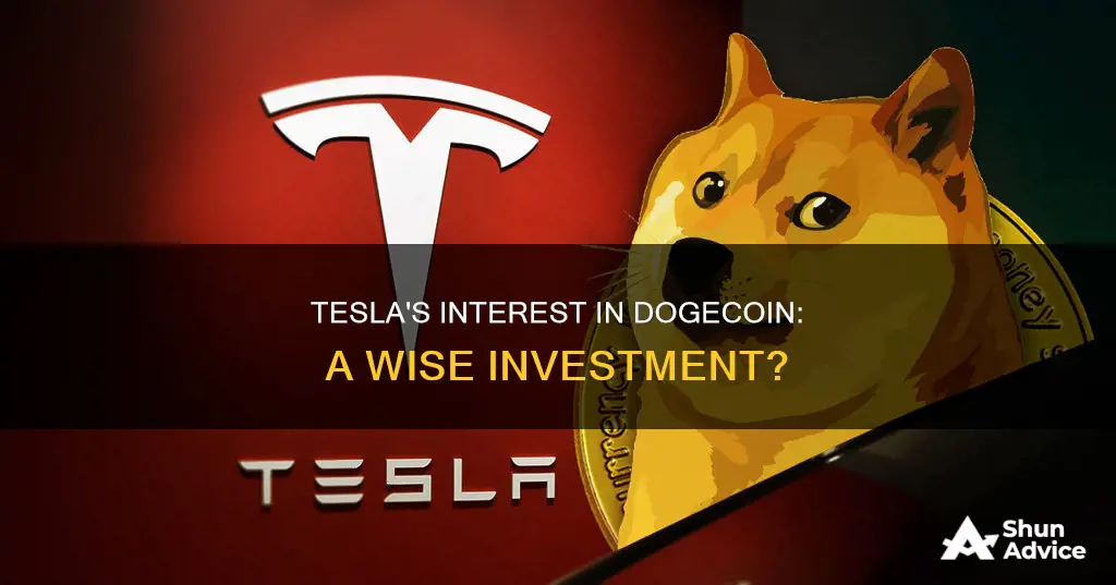 did tesla invest in dogecoin