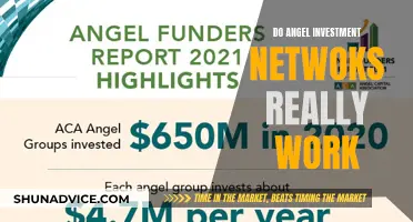 Unlocking Angel Investment: Do Networks Deliver Real Results?