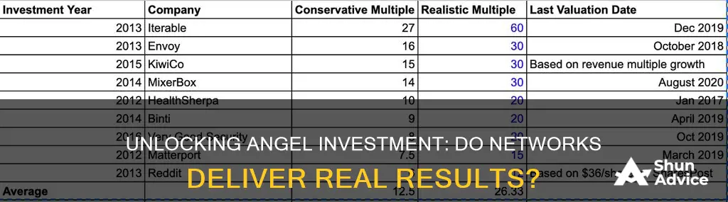 do angel investment netwoks really work