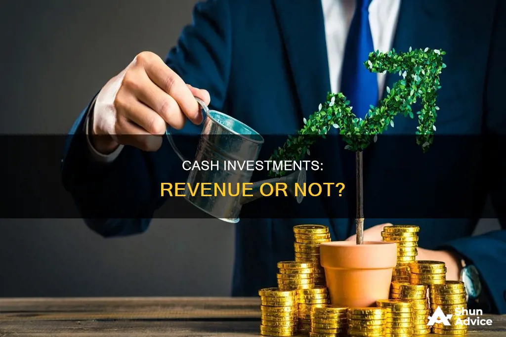 do cash investments count as revneu