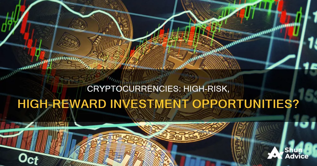 do cryptocurrencies seem like a low-risk or high-risk investment