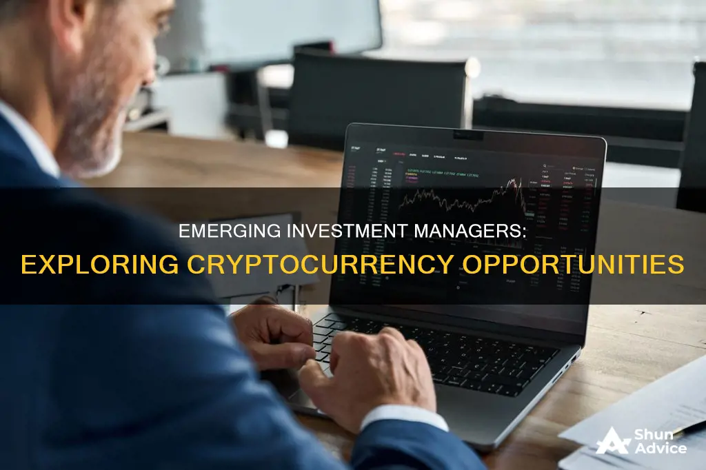 do emerging investment managers seek cryptocurrency