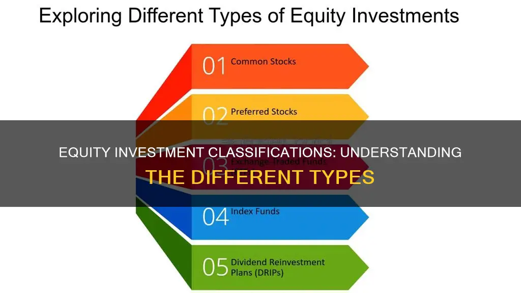 do equity investments have classifications