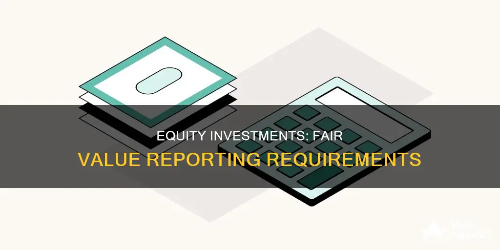 do equity investments have to be reported at fair value