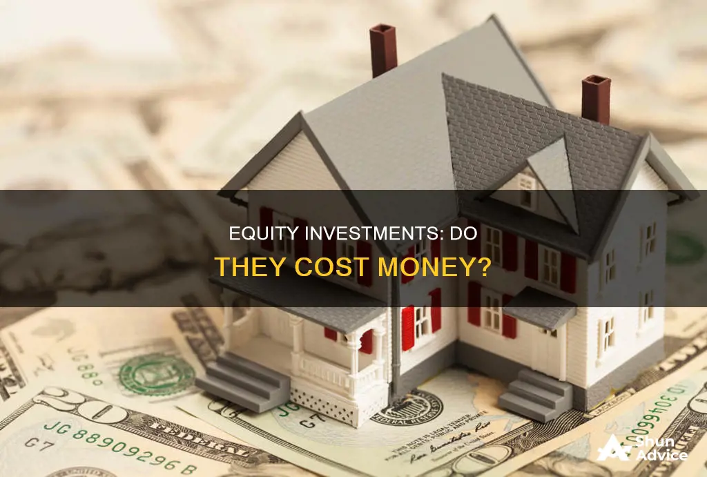 do equity investments need to be paid