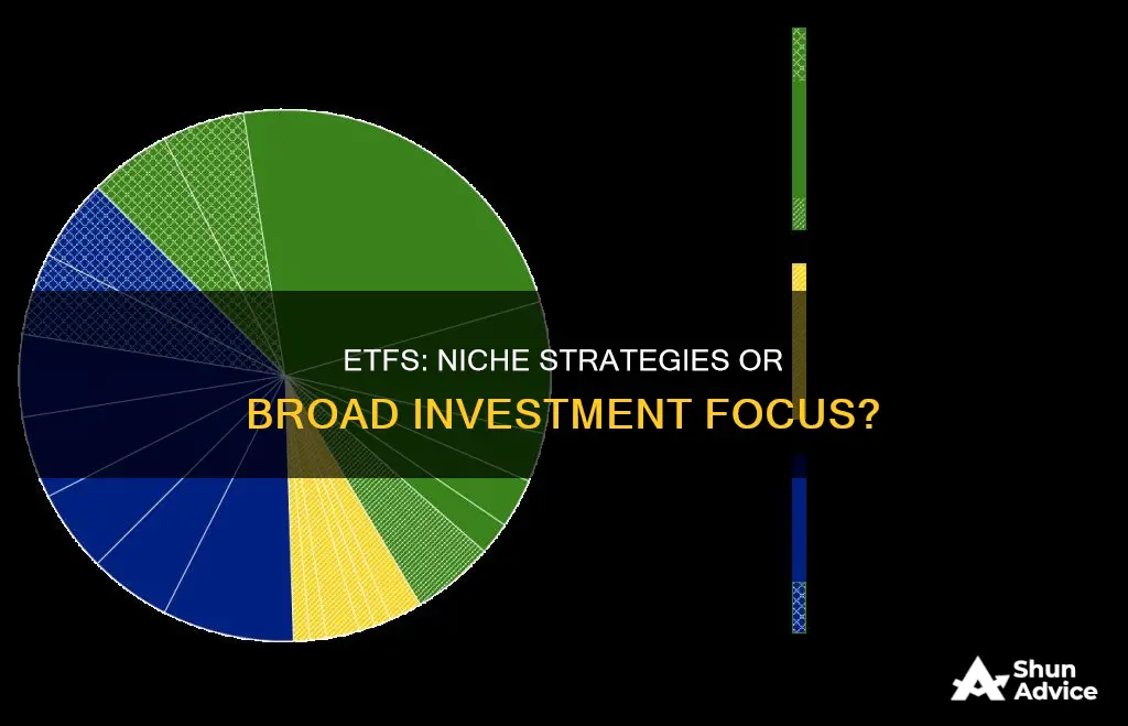 do etfs have very focused investing strategies