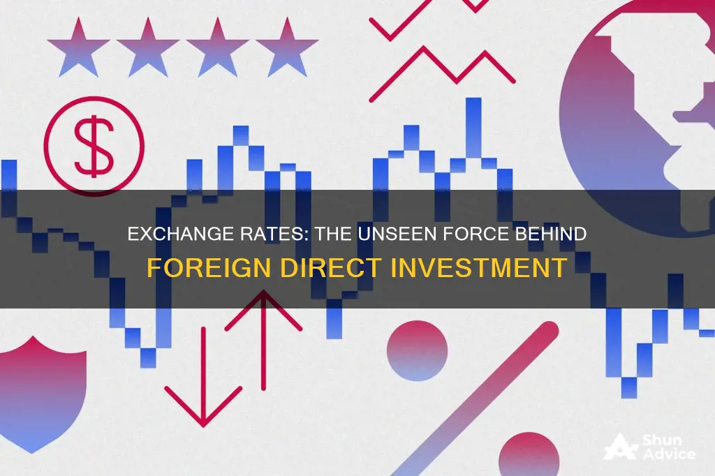 do exchange rate changes drive foreign direct investment