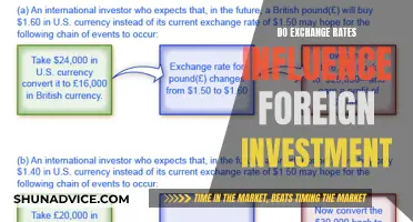 Exchange Rates: The Foreign Investment Magnet