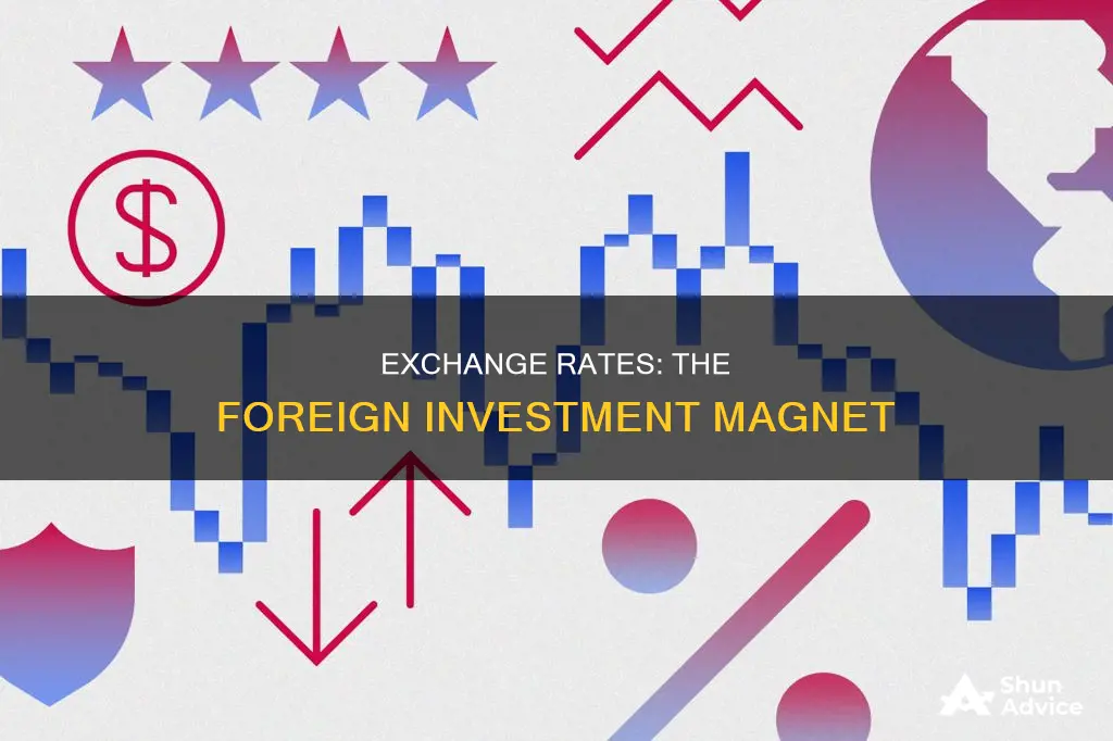 do exchange rates influence foreign investment