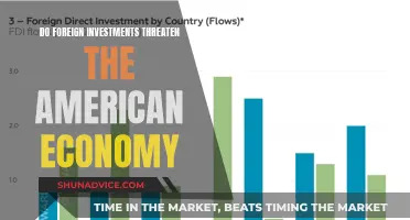 Foreign Investment: A Blessing or Curse for the American Economy?