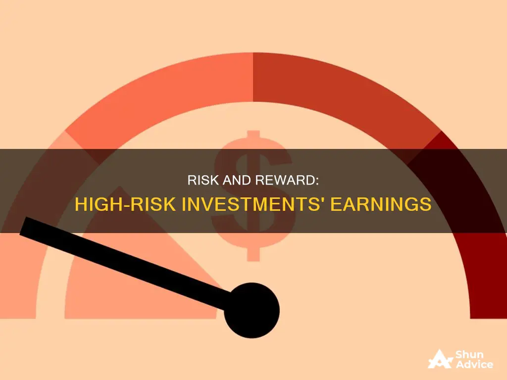 do high risk investments earn more