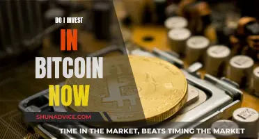 Should You Invest in Bitcoin Now?