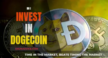 Dogecoin: A Risky Investment Worth Your Money?