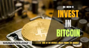 Should You Invest in Bitcoin?