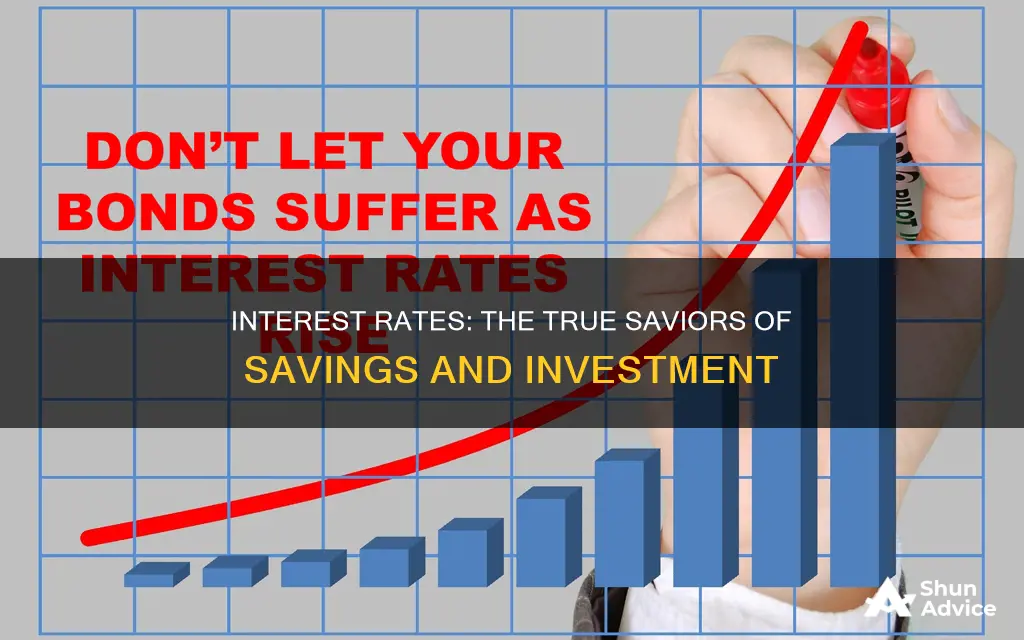 do interest rates determine savings and investment