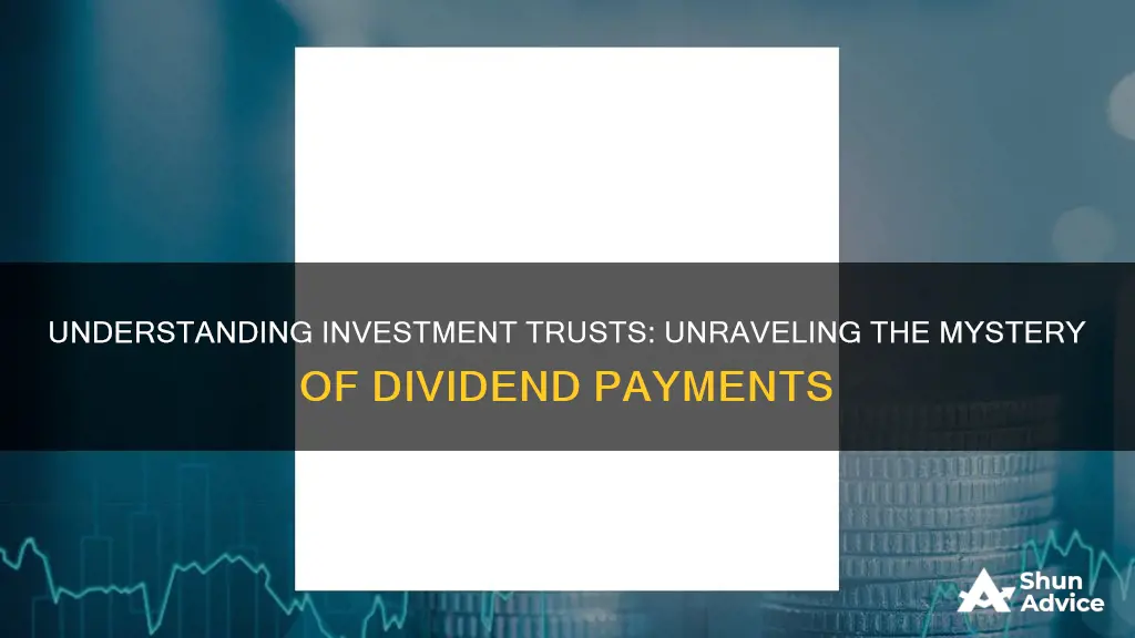 do investment trusts pay dividends