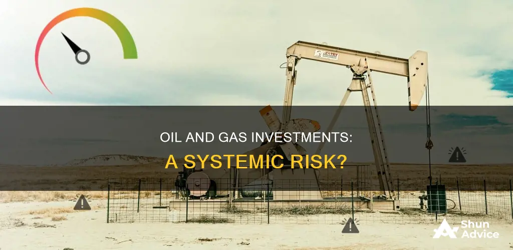 do investments in oil and gas constitute systemic risk