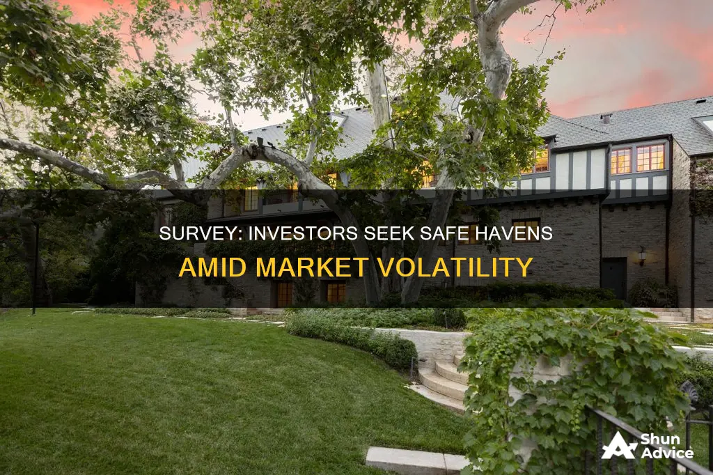 do investors want safe investments survey