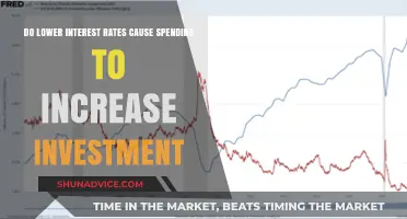 Lower Interest Rates: Spending Boost or Investment Misstep?