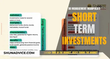 Unveiling the Secrets: Do Managers Manipulate Short-Term Investments?