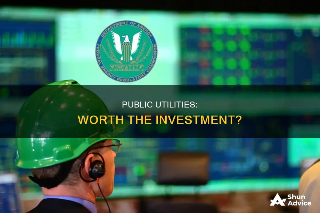 do people invest in public utilities