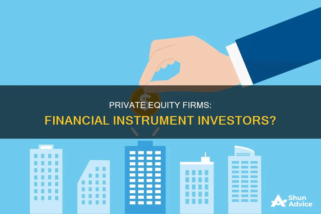 do private equity firms investing in financial instruments