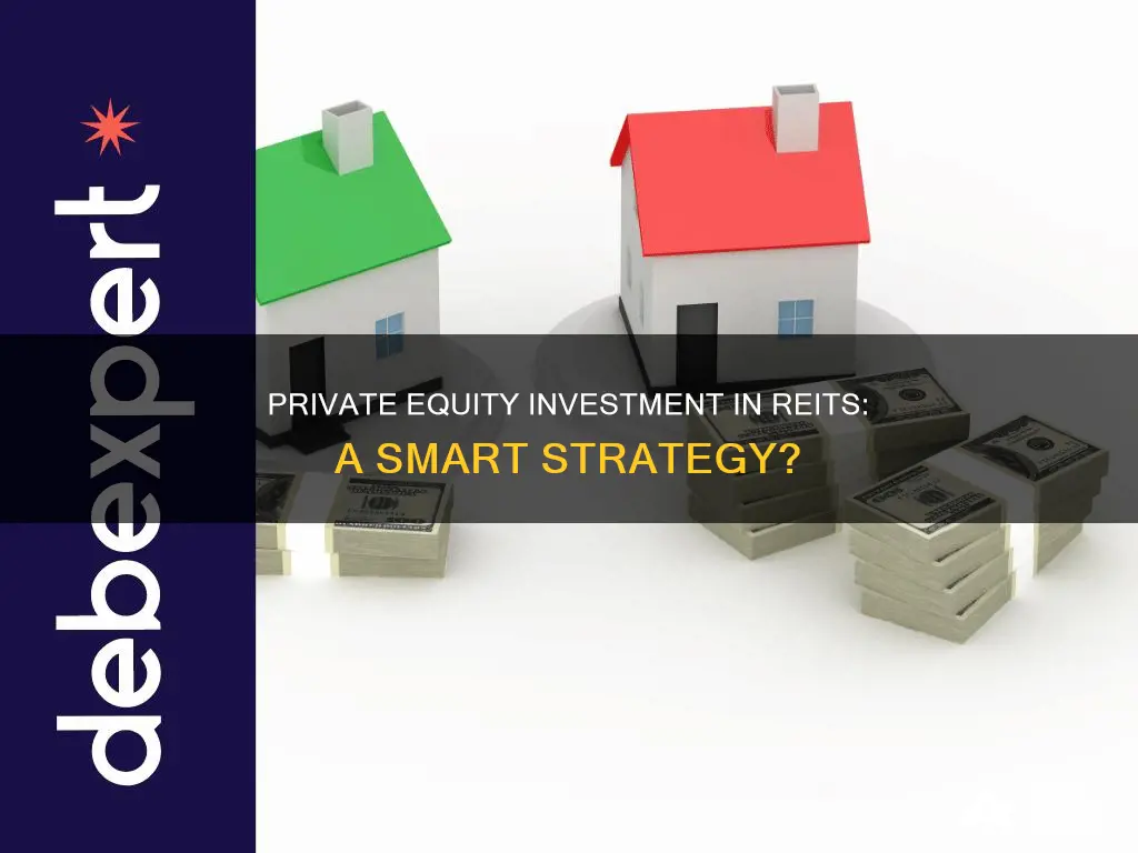 do private equity invest in reits