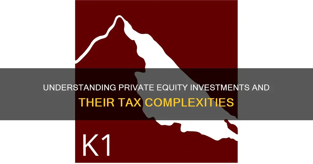 do private equity investments issue a k-1