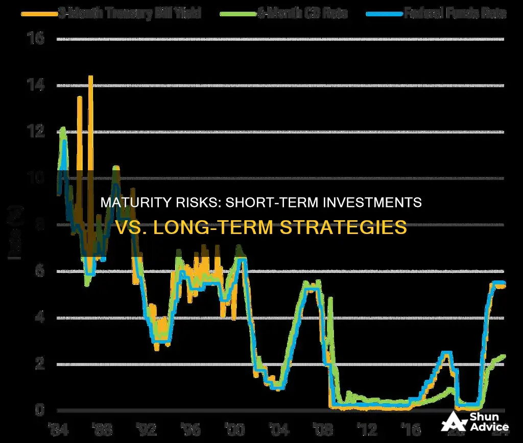 do short term investments have higher maturity risks