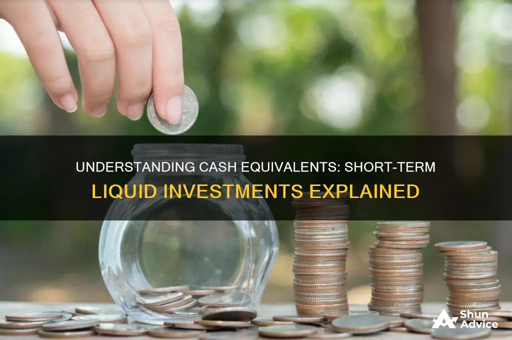 do short term liquid investments count as cash