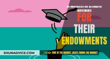 Exploring University Endowment Strategies: Alternative Investment Options