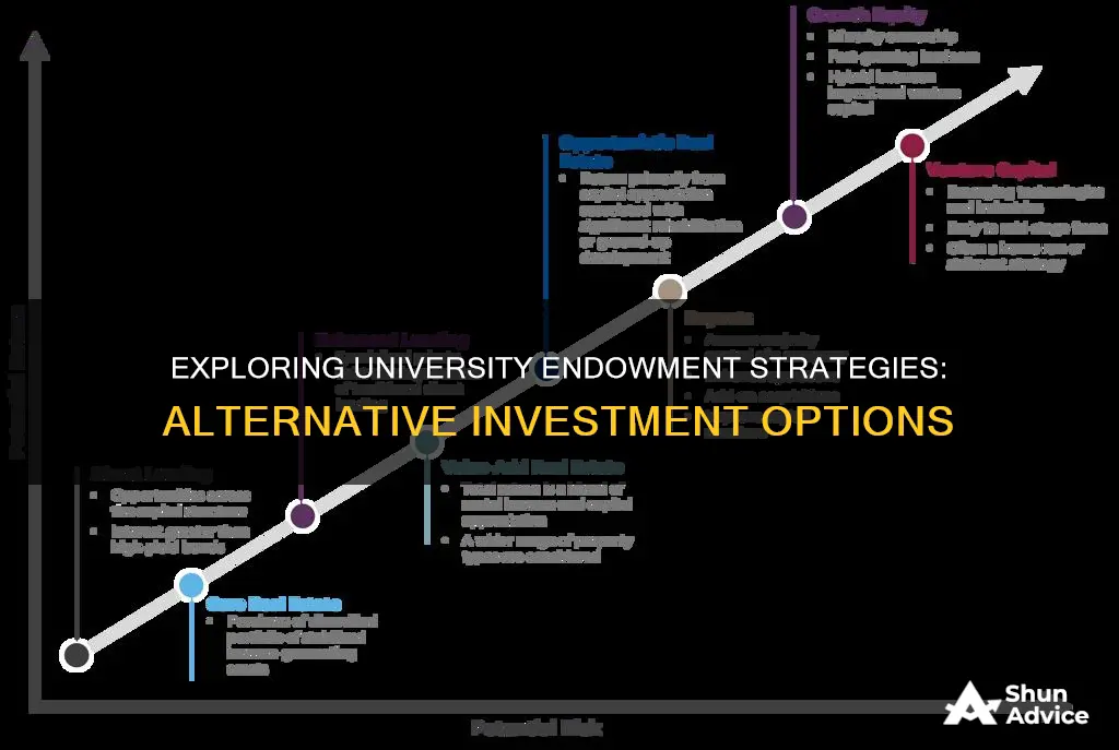 do universities use alternative investments for their endowments